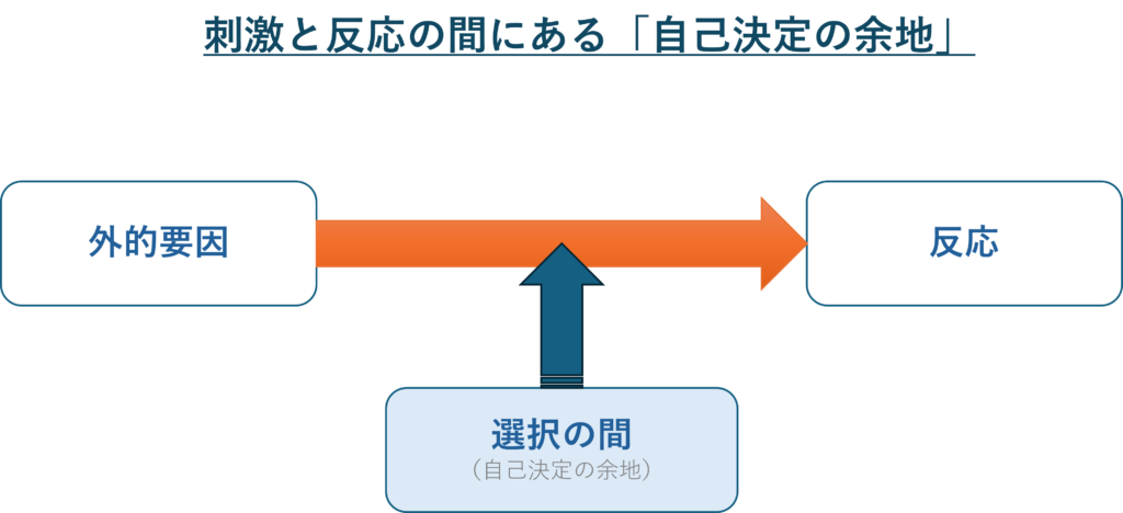 刺激と反応の間にある自己決定の余地を示した図解
